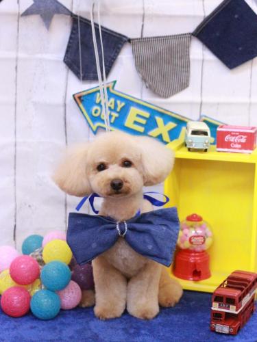 20230401もかちゃん